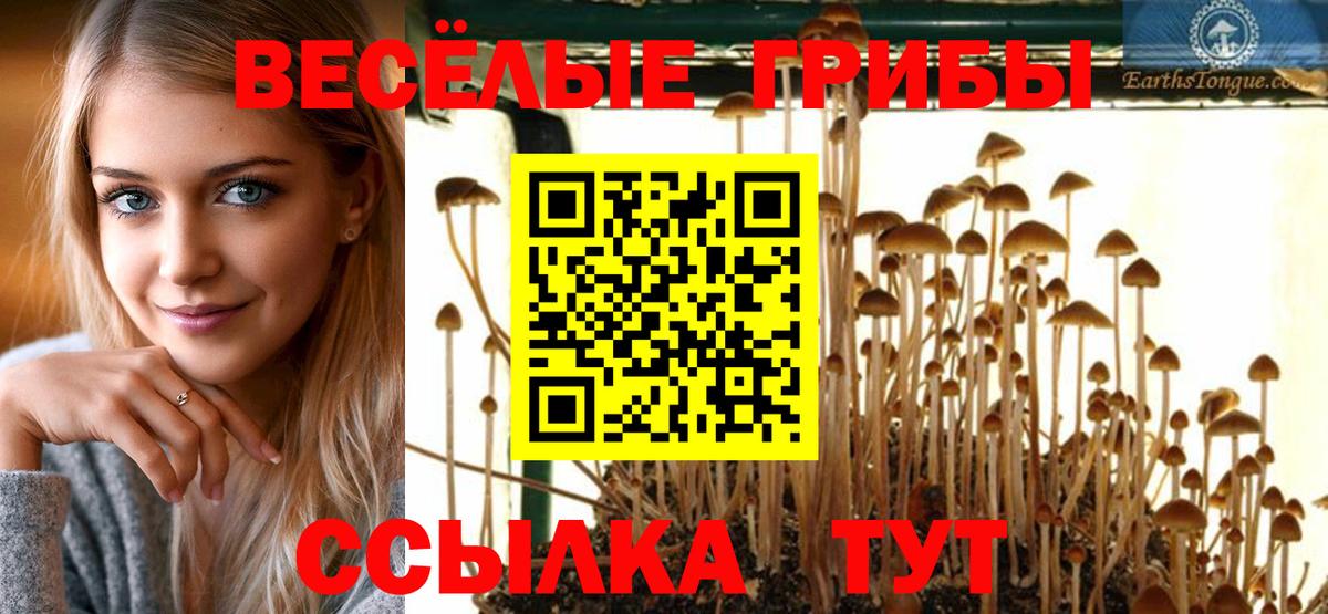 Галлюциногенные грибы Cubensis  Вход с VPN  Великий Новгород 