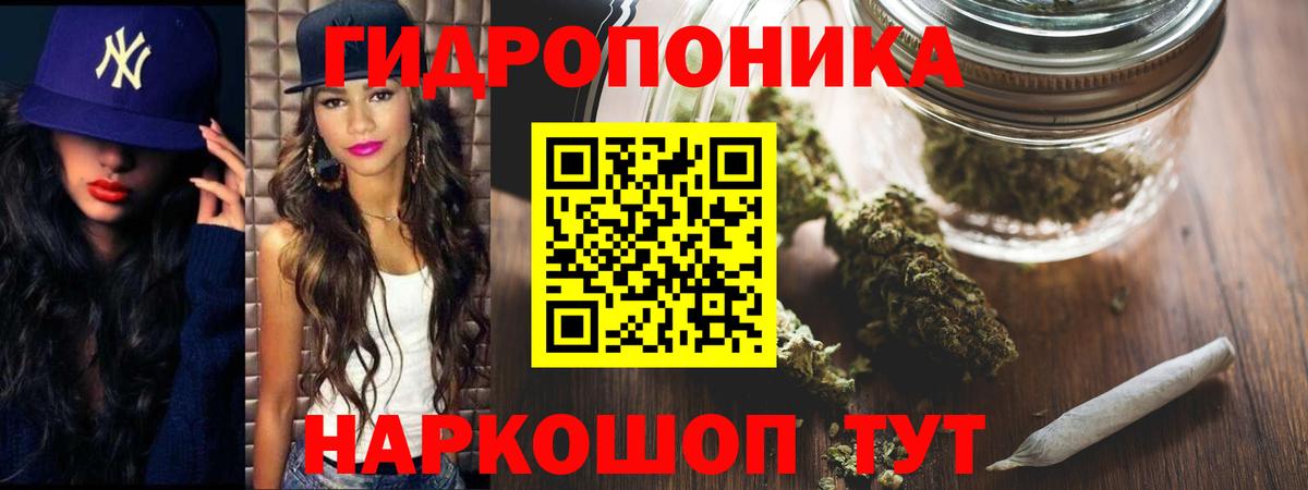 Бошки марихуана план  Бошки Шишки Ganja  Каннабис Amnesia  Вход с VPN  Великий Новгород  Бошки марихуана Ganja 